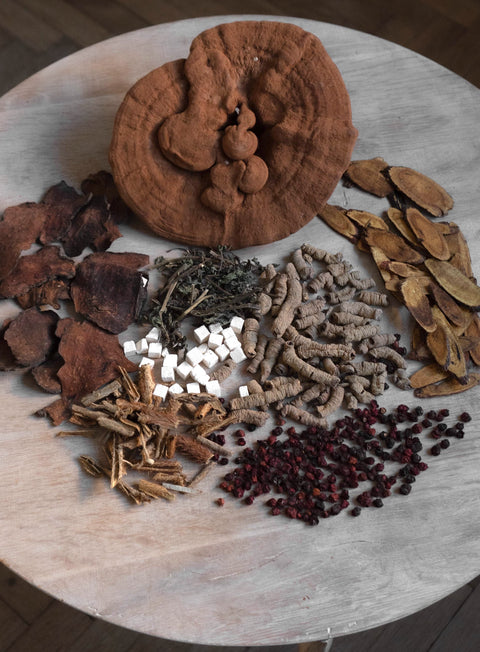 Traditional Tonic Herbs and The Cumulative Power of Daily Tonics
